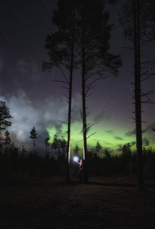 � ����������� �������� ������ ��� ������������� ��������