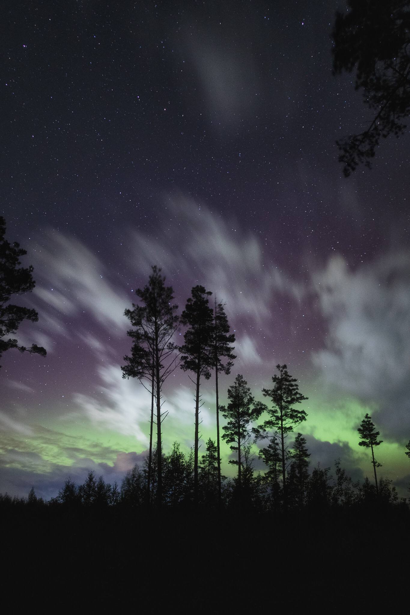 — Красивейшее северное сияние над Ленинградской областью — Красивейшее северное сияние над Ленинградской областью