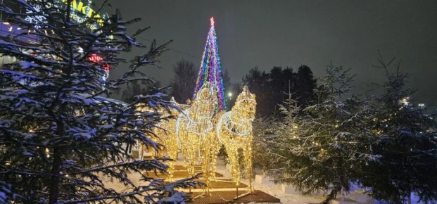 Ленобласть выбирает самую красивую новогоднюю ёлку!