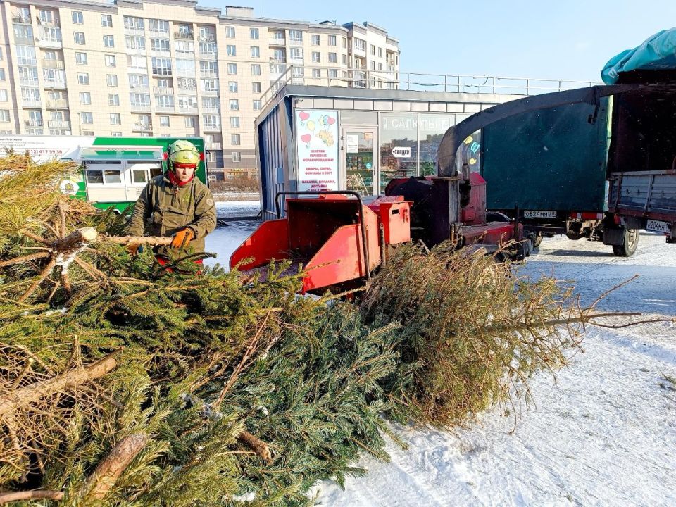 ������ ���������� ������ ����� ���������� ���� �� �����������