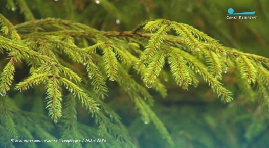 После насыщенных новогодних торжеств возвращение к повседневным заботам нередко становится непростым испытанием