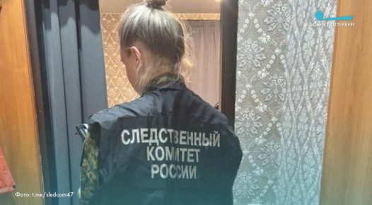 Убийство из ревности: ранее судимый мужчина забил сожительницу скалкой и ножом в Коммунаре