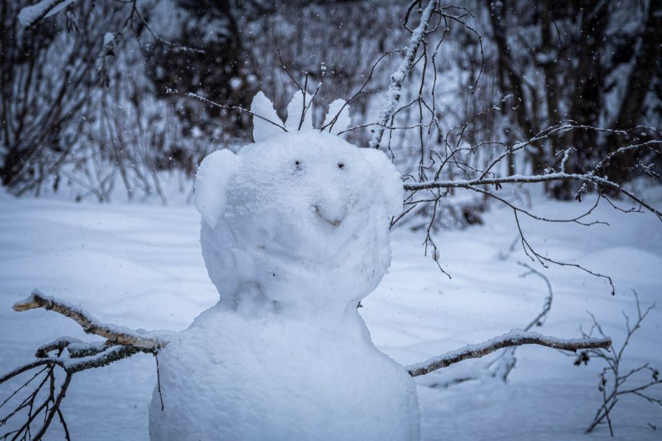 ��������� �� -25 �������� ��������� � ���������� �� ��������� ������