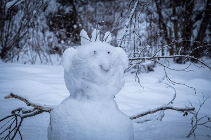 Заморозки до -25 градусов ожидаются в Ленобласти на следующей неделе