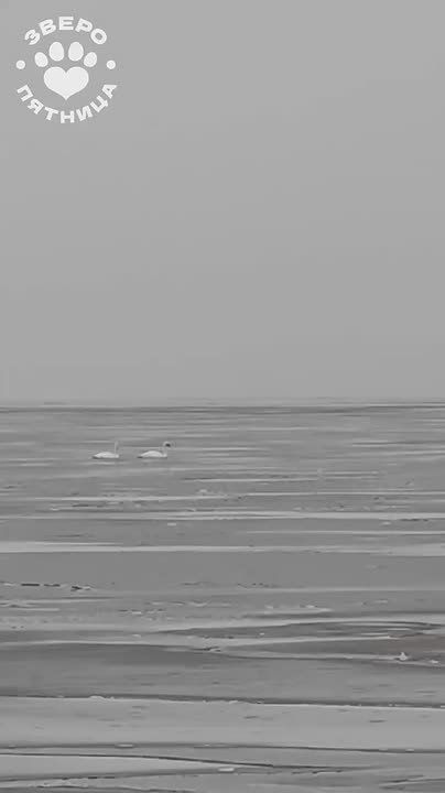 ���� ������� ��������� � ������ ������� ������