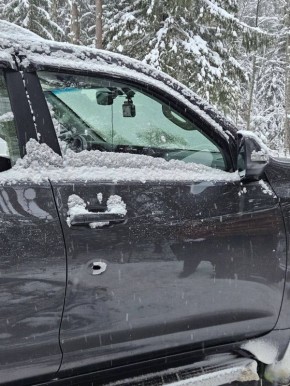 Охота в Кингисеппское районе Ленинградской области завершилась гибелью одного из мужчин