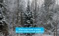 Зимняя сказка начинается в Ленобласти! Заповедная тишина, сказочные тропы и исторические открытия — более 40 экомаршрутов приготовили для вас эту магию
