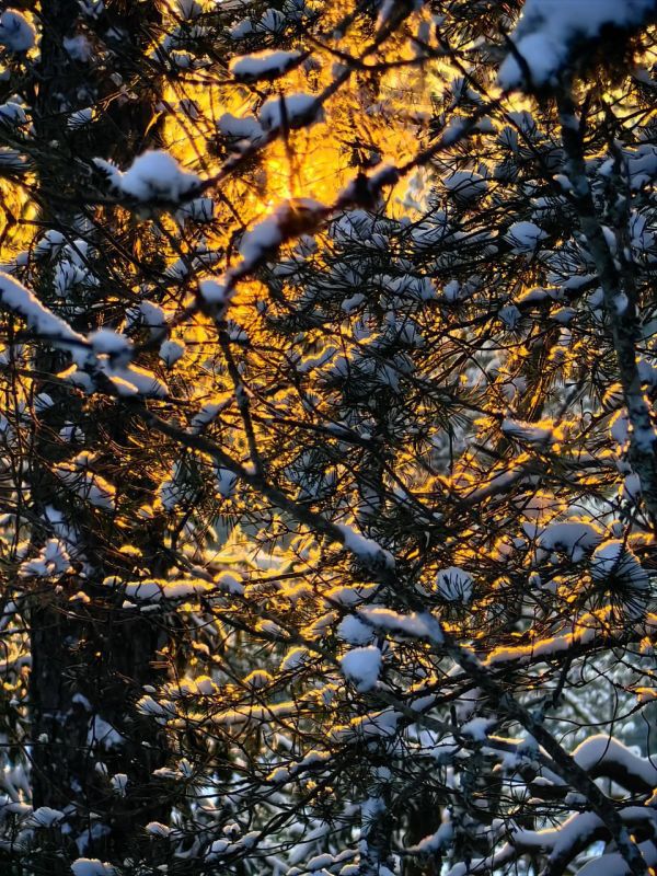 ������ � �������. ����� ��������� �� �����