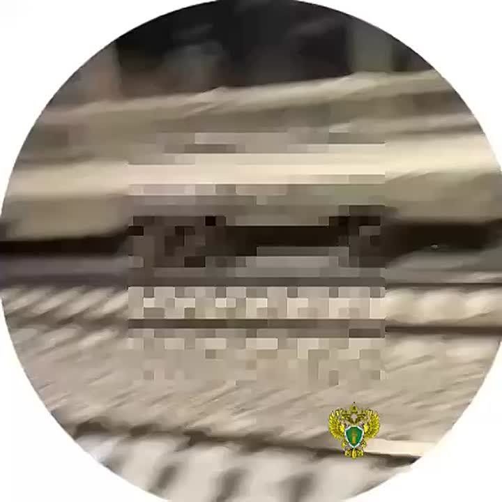 ���������-������� ����� ��� ������� � ���������� � ����������