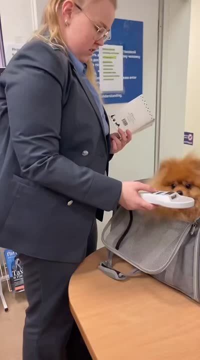 ����� 3 ����� �������� ������ ������������ �������� � ��������� ������� � 2025 ����