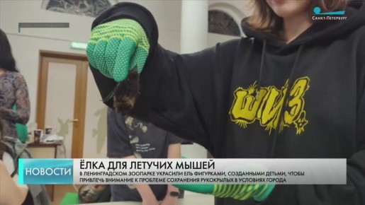 � ������������� �������� �������� ��� ��������� ������� �����