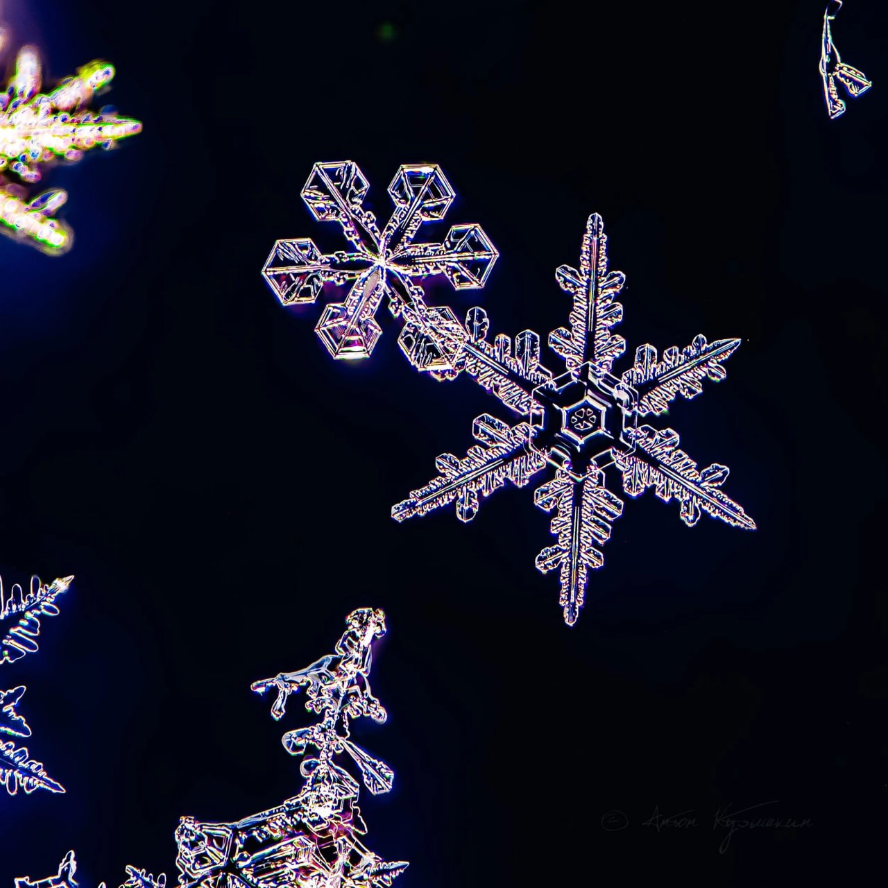 Петербург вслед за Москвой обновил зимний максимум снежного покрова — 23 см Петербург вслед за Москвой обновил зимний максимум снежного покрова — 23 см