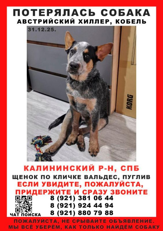 � ���������� ������� ���� ���� ����� �� ������ �������