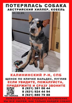 � ���������� ������� ���� ���� ����� �� ������ �������