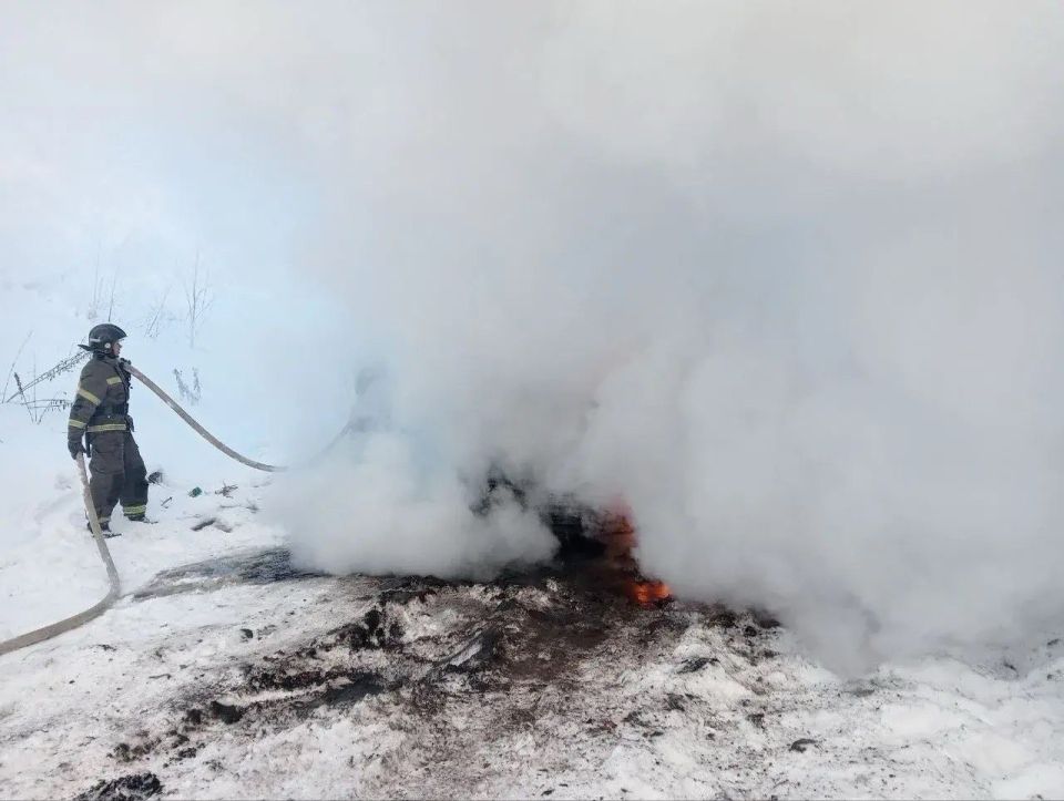 �� ��������� ����� ������������� ���������������� �������-������������� ��������� ������������� ������� ����������� �� 15 ����������� �������: