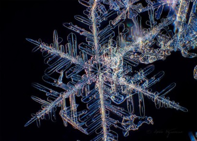 ��������� ����� �� ������� ������� ������ �������� �������� ������� � 23 ��