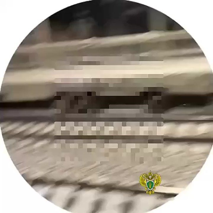 � ���������� ����� ���������-�������