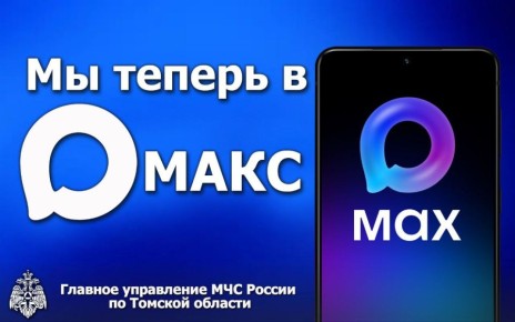 Региональные подразделения МЧС в текущем году будут выпускать оповещения только в мессенджере MAX или через SMS