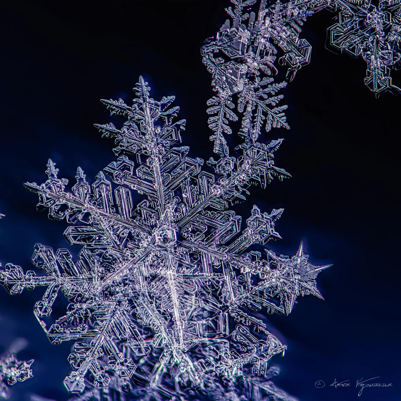 Петербург вслед за Москвой обновил зимний максимум снежного покрова — 23 см Петербург вслед за Москвой обновил зимний максимум снежного покрова — 23 см