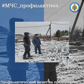 Профилактический визит на предприятие