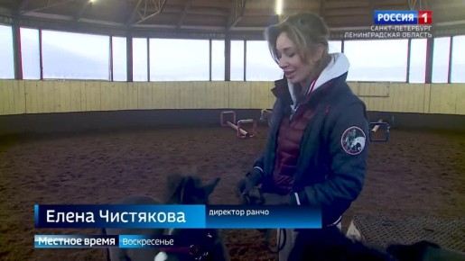 � ������������� ������� ���������� ������� ������ ������