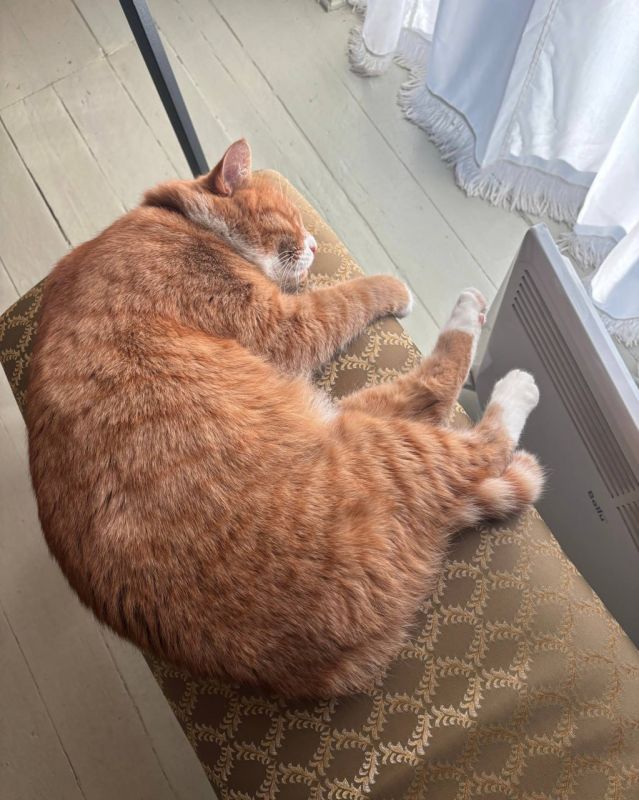 ��� ������, ���� �������� ��� ���� �����: ��� �� �������?