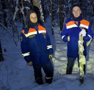 �� ��������� ����� ������������� ���������������� �������-������������� ��������� ������������� ������� ����������� �� 11 ����������� �������: