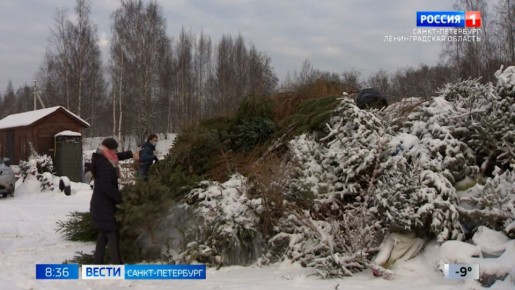 � ���������� � ������������� ������� ��������� ������������ ���� ���� �� �����������