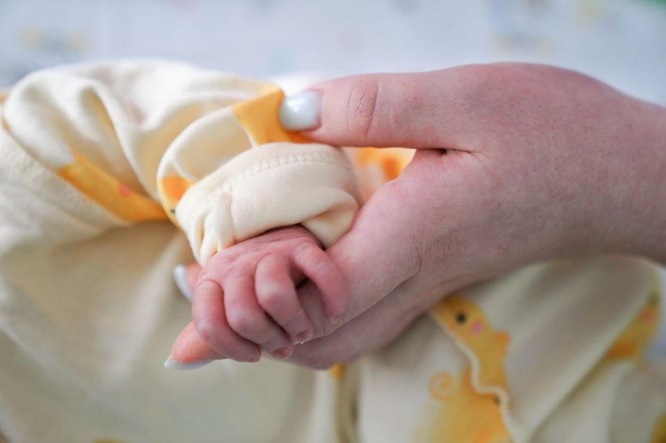 ����, ��� � �����. ��� �������� ������������, ������� �������� �� ���������� ����������-2026