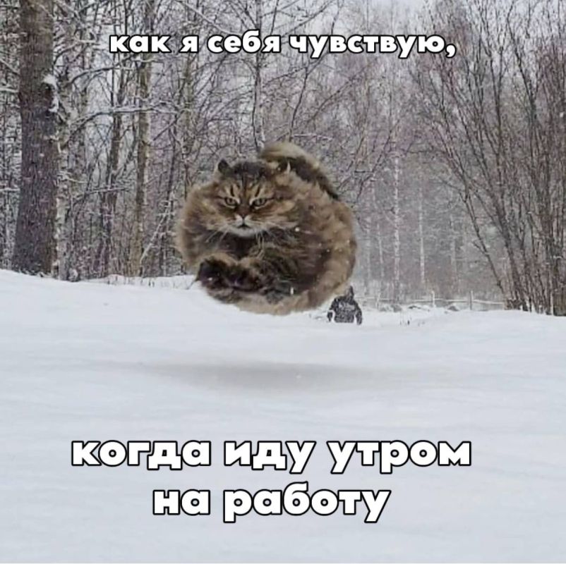 �������������� ������������� ��������� ����������� � ���������� � �������, ����� �������� ������ ����