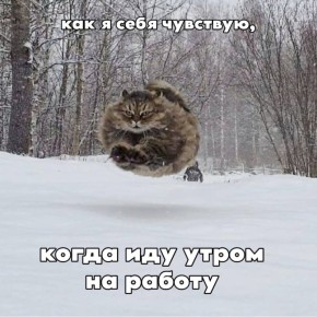 �������������� ������������� ��������� ����������� � ���������� � �������, ����� �������� ������ ����