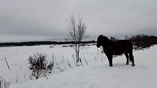 ���������� ����������� � ����������� ���� ��� ����� ������������� ����� �������