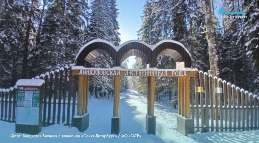 � ���������� 15 ������ ��������� ��������� �� ����� 19