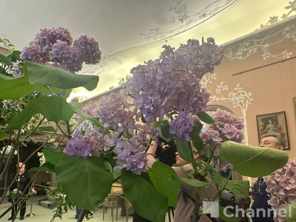 � �����-����������� "������� ����" � ����� ���������������� ������ ��������� �������� �������� ������