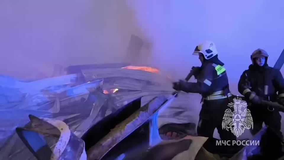 ����� ������������. � ��������� ����� �� ����� ���������� ������ �� ������� �����������, �������� � ������������ ���� ������������� �������������