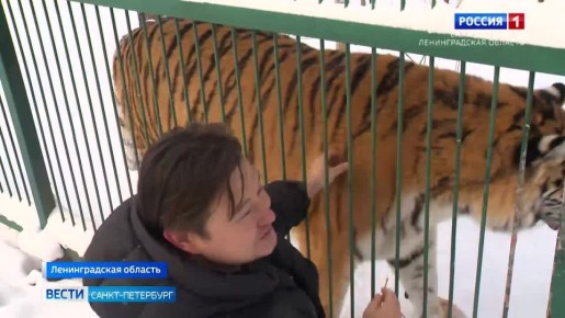 ����� ������� ��� ����� �����: � "��� �����" �������� ��������, ������������ �� �����������