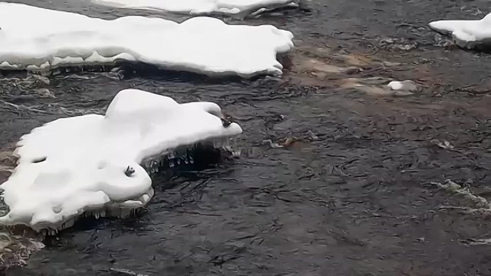 ������� ���������� ���������� � �������� ��������� �������� ����