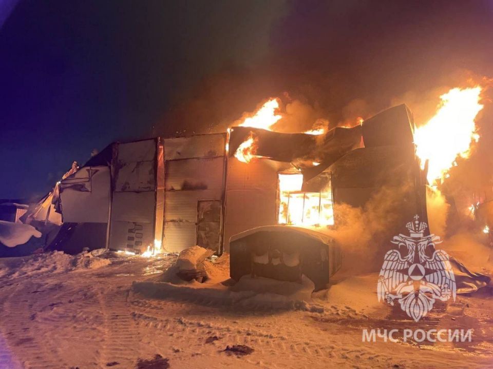 �� ��������� ����� ������������� ���������������� �������-������������� ��������� ������������� ������� ����������� �� 11 ����������� �������: