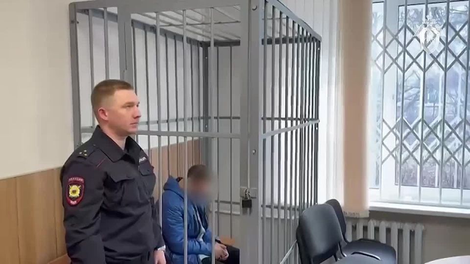 В Ленинградской области мужчина признан виновным в посягательстве на жизнь сотрудника полиции и применении насилия к представителю власти