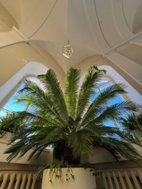 � ������ � ���������� ������ ���� ���� ���������� � �������� ������!