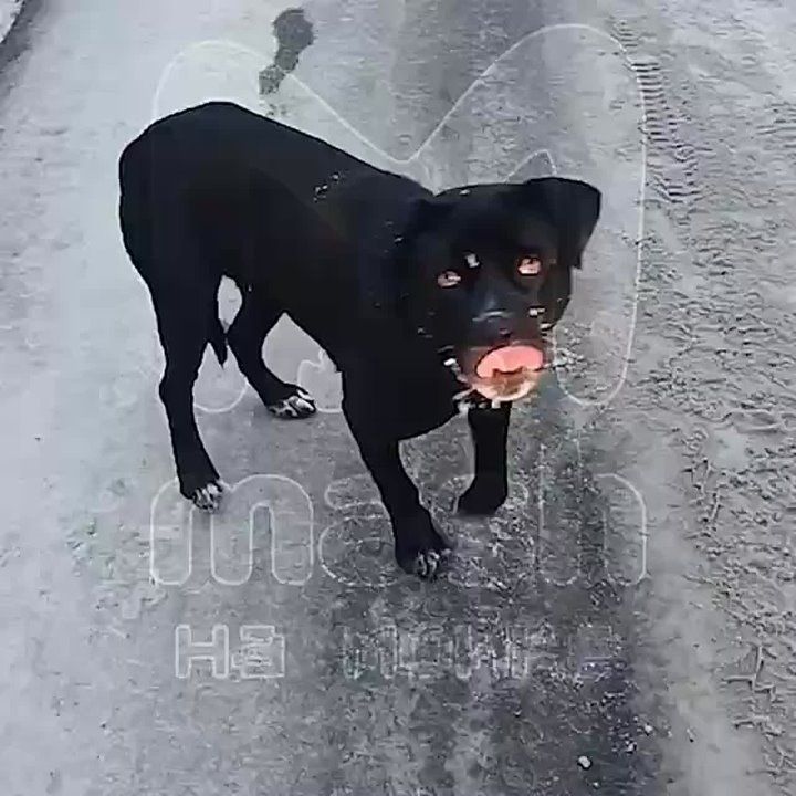 ����� �������� ���� � ����������� ������������� ����������� � ����������� "�����" ������������� ������ �� � ������� ������� ��������� ��������� ����� ����� ������� ���� � �����