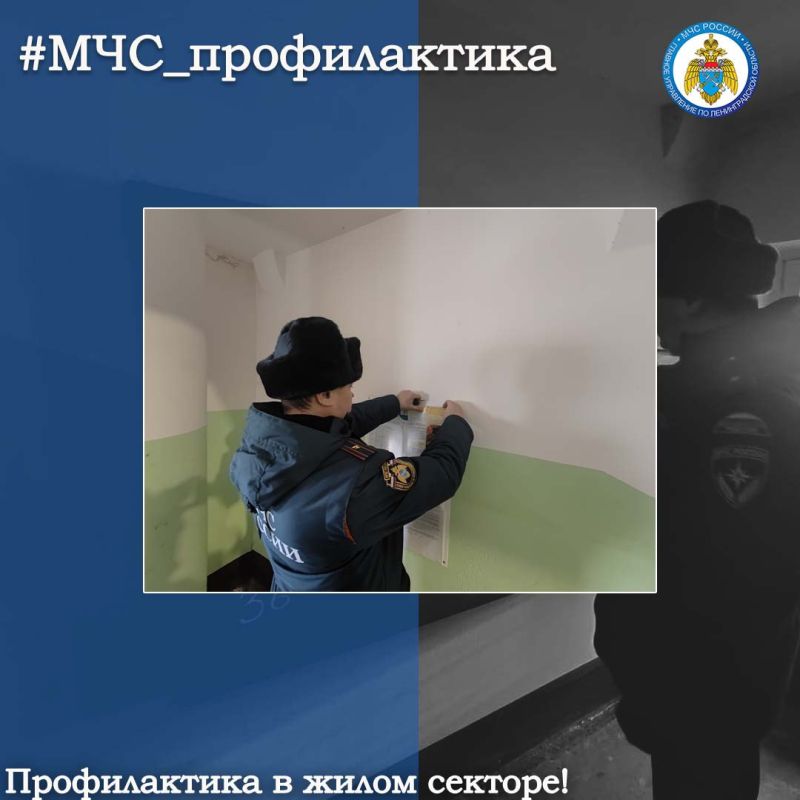 ������������ � ����� �������