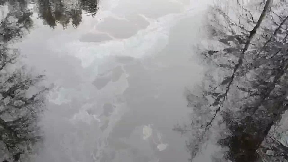 Жители Всеволожского района продолжают жаловаться на масляные пятна на реке Вьюн