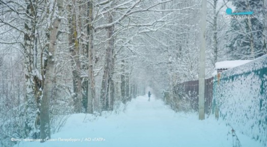 -12 ��������, ������� � ���� ���� ������� ���������� 21 ������