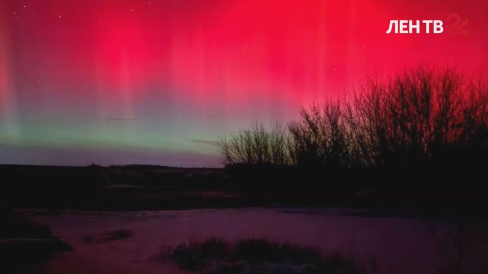 ������� �������� �� �����24 �� 20.01.2026. �������� � �������: