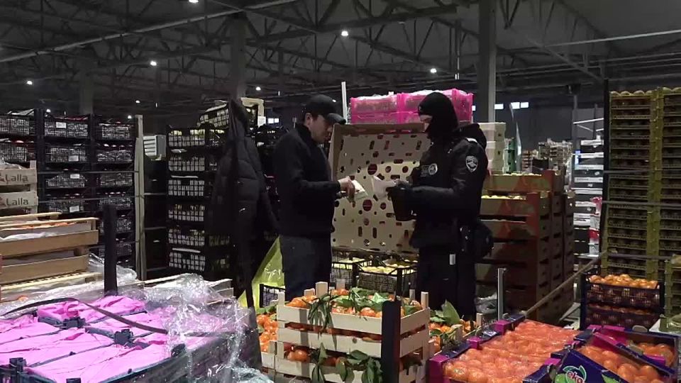 �� ��������� ��������� � ���������� ��������� 15 ���������-���������