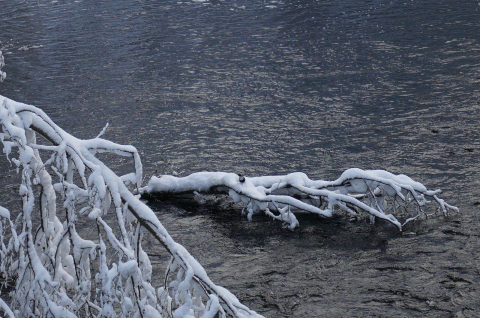 ������������ �������� ������ ����������� �������