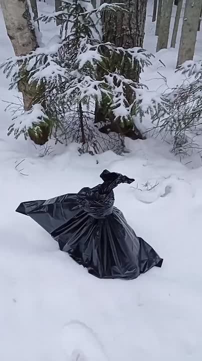 � ���� � �������� ���� ����� ������, ����������� � �������� ������ �� �����