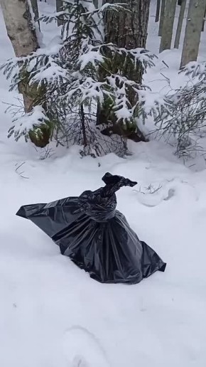 � ���� � �������� ���� ����� ������, ����������� � �������� ������ �� �����