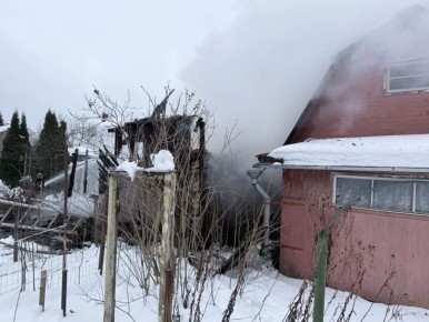 �� ��������� ����� ������������� ���������������� �������-������������� ��������� ������������� ������� ����������� �� 8 ����������� �������: